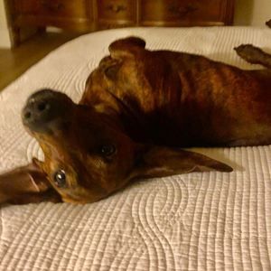 Meet your Posher, Elena